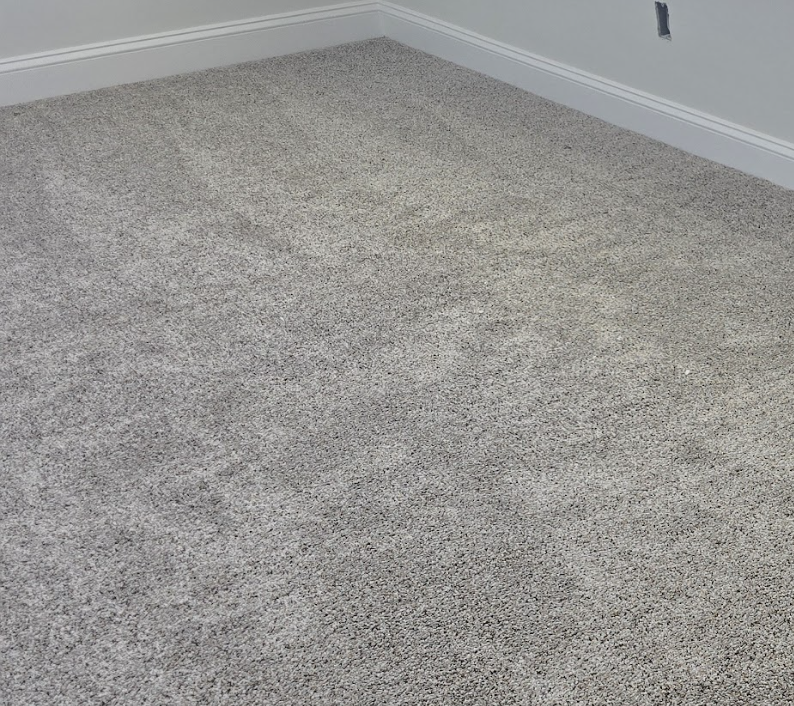 Image dipicting Carpet